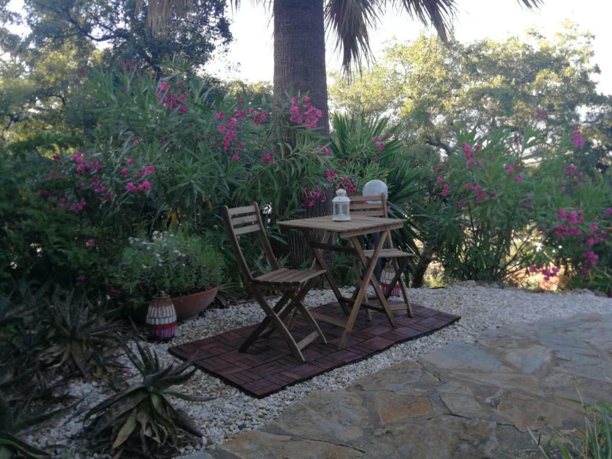 Апартаменты Encantador Y Amplio Estudio A 15 Min De Marbella Охен Экстерьер фото